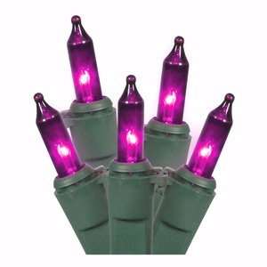  Vickerman 10016   100 Light Green Wire Purple Icicle Light 