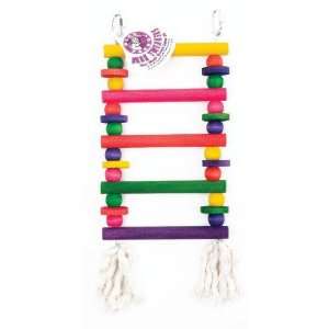   Parrot® Beak Tweakers® Color Crazy Ladder for Birds