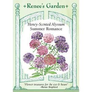  Alyssum   Summer Romance Seeds Patio, Lawn & Garden