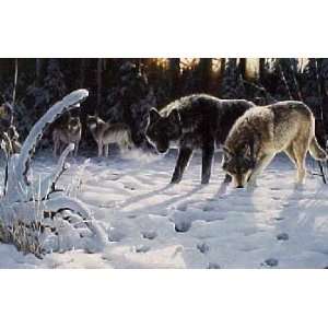  Persis Clayton Weirs   Winters Quest   Wolves: Home 