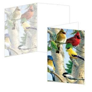  ECOeverywhere Favorite Songbirds Boxed Card Set, 12 Cards 