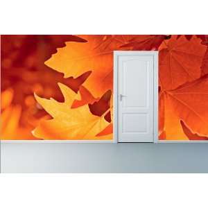  8 X 16 Foot Wallpaper, Autumn Leaves
