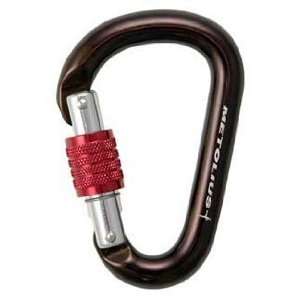  Metolius Element Key Lock Locking Belay Carabiner: Sports 