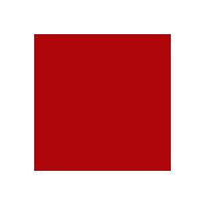  Rosco E Color Plasa Red 029 Gel Filter Sheet: Electronics