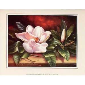  One Magnolia artist: Peggy Thatch Sibley prints: Home 