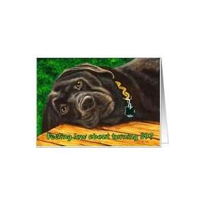  Funny Birthday ~ 39 Years Old ~ Labrador Dog Card: Toys 
