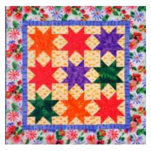   Star Quilt Pattern by Alex Anderson for C&T: Arts, Crafts & Sewing