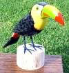 am so confident of the quality of this natural looking TOUCAN 