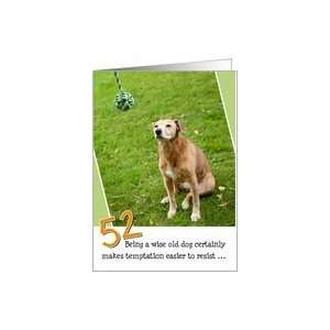   Birthday Card   Humorous Old Dog Resists Temptation Card: Toys & Games