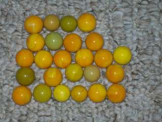 25 VINTAGE AKRO AGATE YELLOW MARBLES   VARIOUS SHADES  