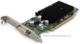 NVIDIA Quadro NVS 280 64MB PCI Express Video Card  