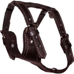  1 3/4 Dark Brown Leather Harness   X Large (Fits neck 