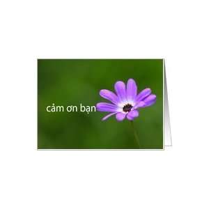  Thank you in Vietnamese cảm õn bạn   purple daisy 
