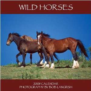  Wild Horses 2008 Wall Calendar: Office Products