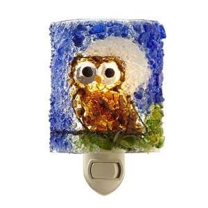  Recycled Glass Night Owl Nightlight: Home Improvement