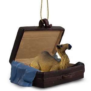  Camel Dromedary Traveling Companion Ornament