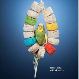  Color Kabobs Bird Toys Bonita: Pet Supplies