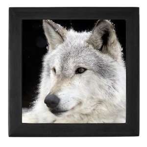  Eclipse Wolf Wolf Keepsake Box by CafePress: Baby