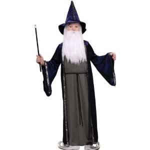  Childs Wizard Robe Costume: Toys & Games