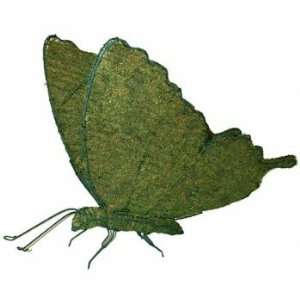  Butterfly Mossed Topiary Frame