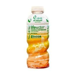SoBe Lifewater   Strawberry Kiwi Lemonade   20 fl. oz. (Pack of 12 