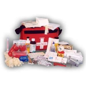    Equine / Horse Small Trailering First Aid Kit: Pet Supplies
