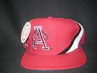 VTG Arkansas Razorbacks NCAA Apex 1994 national championship Snapback 