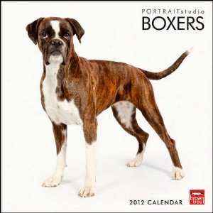  Boxers Portrait 2012 Wall Calendar: Office Products