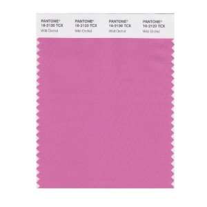   SMART 16 2120X Color Swatch Card, Wild Orchid: Home Improvement