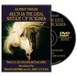  DVD Such is the Real Nature of Horses 