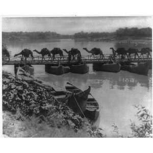  Camel Caravan,Euphrates River,Bridge,Kufa,Iraq,1933
