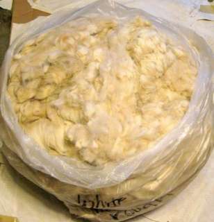 12 Lbs Raw Alpaca Fiber Wool Fleece Full Cuts? ~~NR~~ #13  