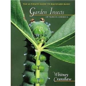   Bugs (Princeton Field Guides) [Paperback] Whitney Cranshaw Books