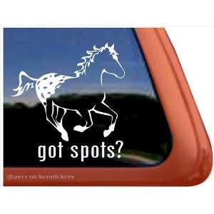  Got Spots? Appaloosa Horse Trailer Vinyl Window Decal 