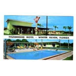    Thunderbird Motel Postcard Winter Haven Florida: Everything Else
