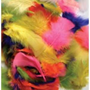  20 Pack CHENILLE KRAFT COMPANY FEATHERS BRIGHT HUES 