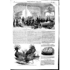  1853 THOMAS CUBITT RUSSIAN EMBASSY CHESHAM GOURA PIGEON 