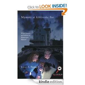 Mystery at Kittiwake Bay (Aladdin Mystery) Joyce A. Stengel  