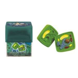  TEDCO Toys   BioSigns Plant Cell Toys & Games