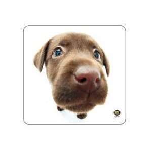 ALLSOP CHOCOLATE LAB MOUSE PAD Specially Woven Fabric For Better Mouse 