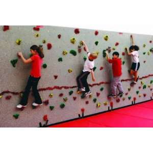 40 W Complete Climbing Wall Package by Everlast  