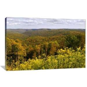  Fall Leaves Changing   Gallery Wrapped Canvas   Museum 