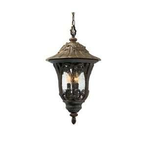  Ellerbee Collection 23 High Hanging Outdoor Light: Home 