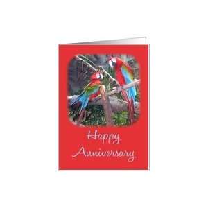 Happy Anniversary Bird Parrot Card