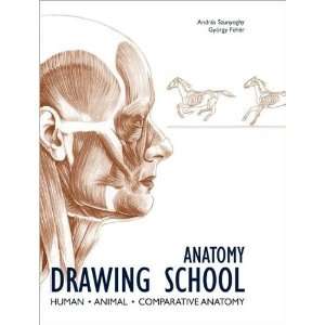 Ullmann 601642 Anatomy Drawing School Electronics
