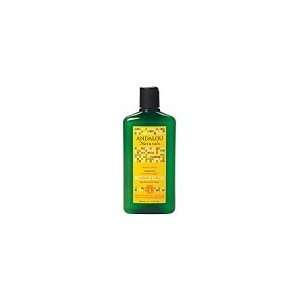 Andalou Naturals Sunflower & Citrus Shine Shampoo (18/2 OZ)