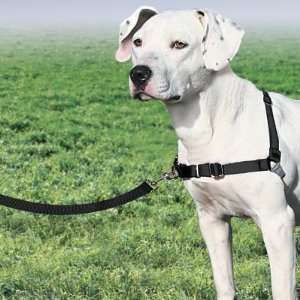  Hunting Premier Easy Walk Dog Harness