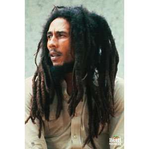 Bob Marley   Posters   Domestic 