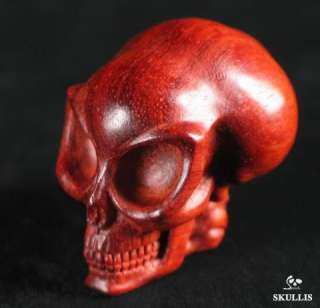 Rosewood Carved Alien Crystal Skull  