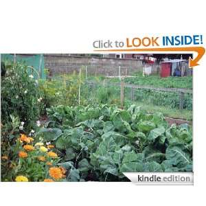 How to Grow Your Own Organic, Pest and Disease Free Vegetables David 